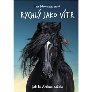 Rychlý jako vítr: Jak to všechno začalo