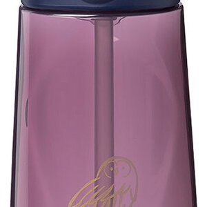B.Box Fľaša na pitie so slamkou 600 ml Harry Potter